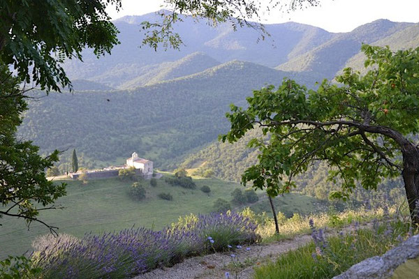 Vue depuis l'entrée du jardin