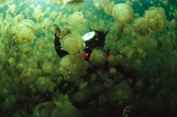 Photo by David Doubilet/National Geographic