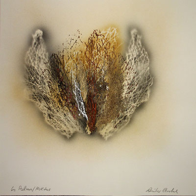 | La Palma / Kaktus | 50 x 42,5 cm |
