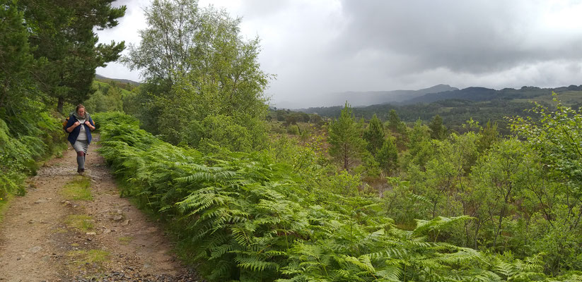 "Glen Affric Loop" in Schottland, c Amanda Hasenfusz