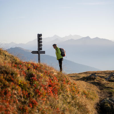 leichte Sonnenaufgangswanderung zur Flecknerspitze, aussichtsreicher Gipfel im Passeiertal, Jaufenpass - Südtirol  ©Lena Sulzenbacher