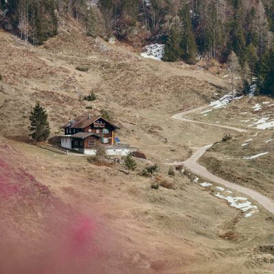 Almplateau der Walleralm am Wilden Kaiser in Tirol