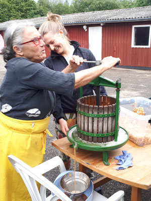 Apfelsaft leicht gemacht