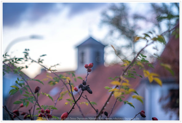 Carl Zeiss Dynarex 90mm f3.4 - Nikolaus-Burgard.de Carl Zeiss Dynarex 90mm f3.4 - Nikolaus-Burgard.de