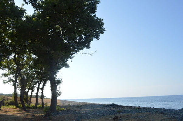 Schattiger Strand im Norden der Insel