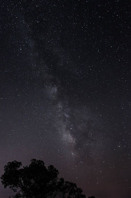 D7000  |  f/5.6  |  30s  |  ISO-1600  |  15mm  |  Milchstrasse