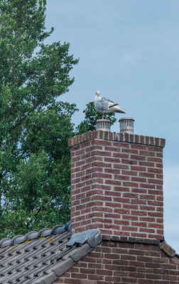 Den Helder