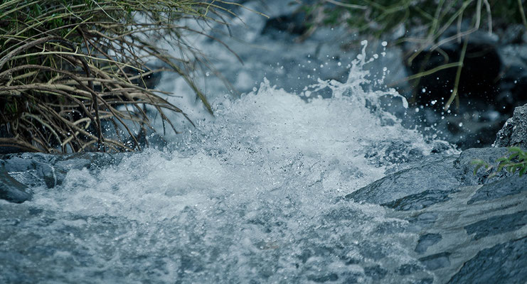 D7000  |  f/2.8  |  1/2500s  |  ISO-100  |  200mm  |  Walenstadt (CH)