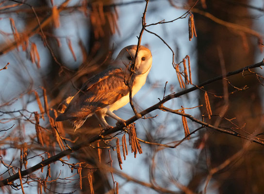 Foto: Christoph Elsner