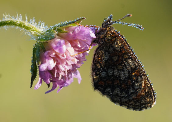 Foto: Christoph Elsner