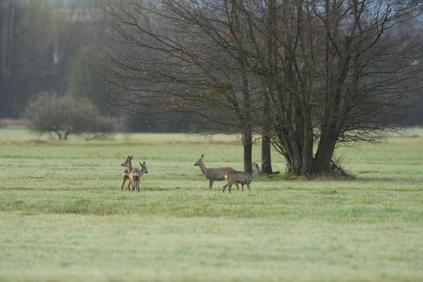 Foto: Christoph Elsner