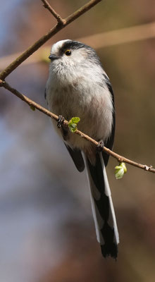 Foto: Christoph Elsner