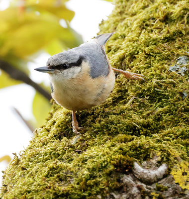 Foto: Christoph Elsner