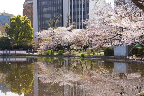 不忍池への映り込み