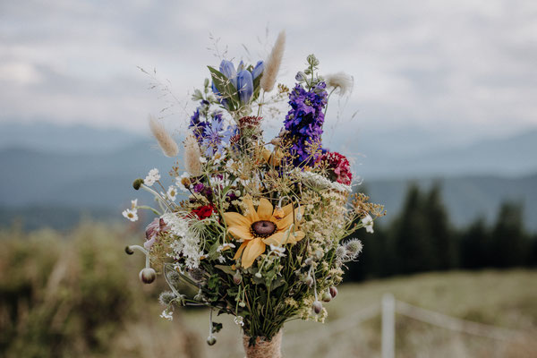 Hochzeit - Steffi & Tobi - Brauneck