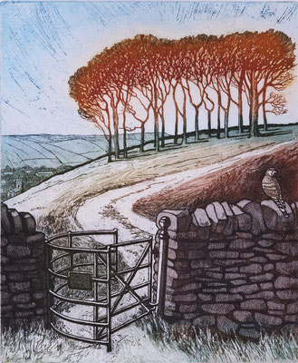 Kissing Gate Twenty Trees