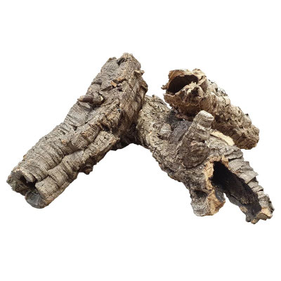 Korkröhre