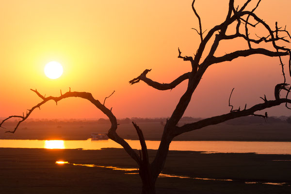 Sonnenuntergang am Sambesi