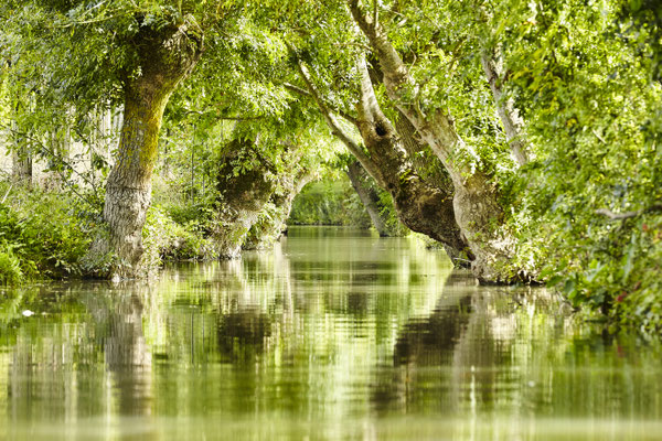 Marais Poitevin