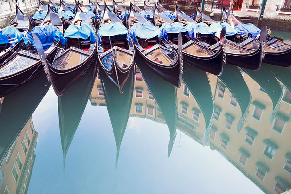 Braust mit dem Wasserbus den Canal Grande entlang