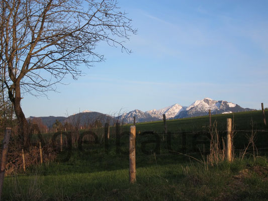 Wendelstein