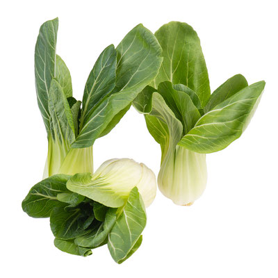 Pak Choi isoliert auf weißen Hintergrund