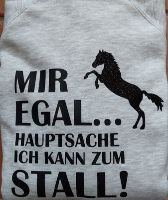 Sweatshirt Gr. S (Herren)bedruckt mit Flex- und Glitzer-Folie - 30 Euro