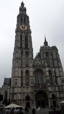 Dom Antwerpen