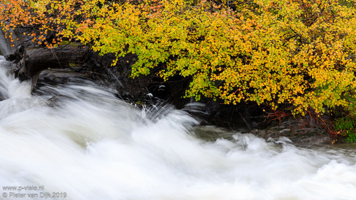 Herfstkleuren bij Hjallaá rivier