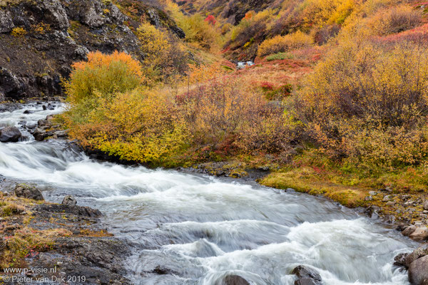 Herfstkleuren bij Hjallaá rivier