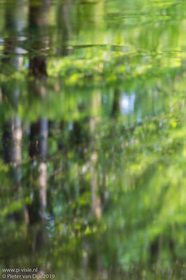 Weerspiegeling in de beek