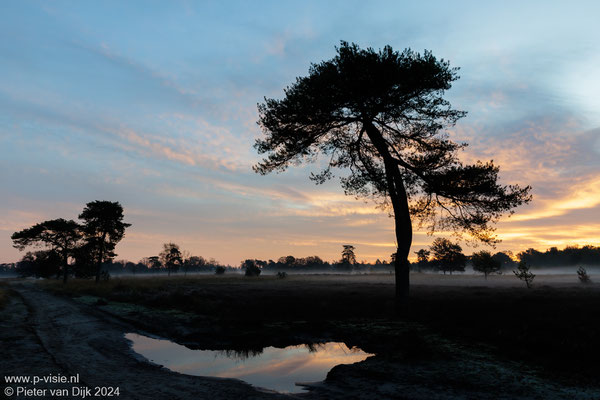 Zonsopkomst