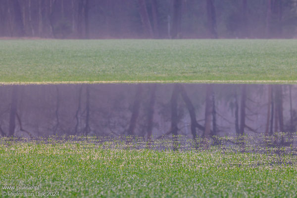 Water op het veld