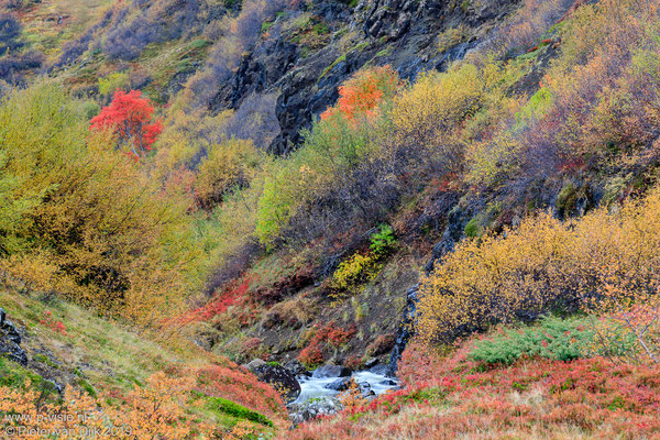 Herfstkleuren bij Hjallaá rivier