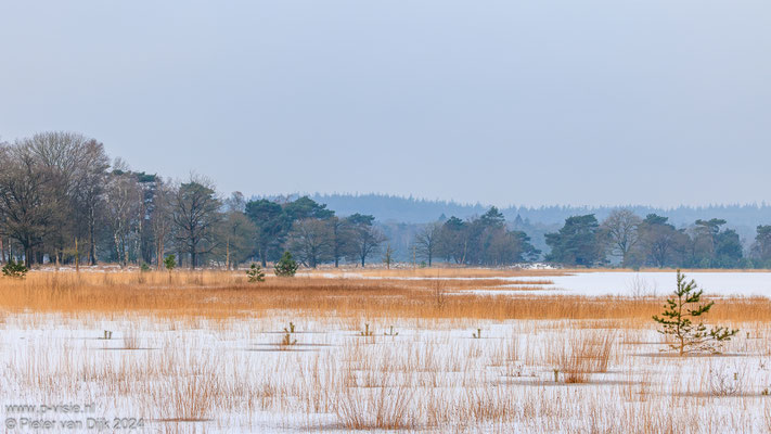 Leersumse plassen