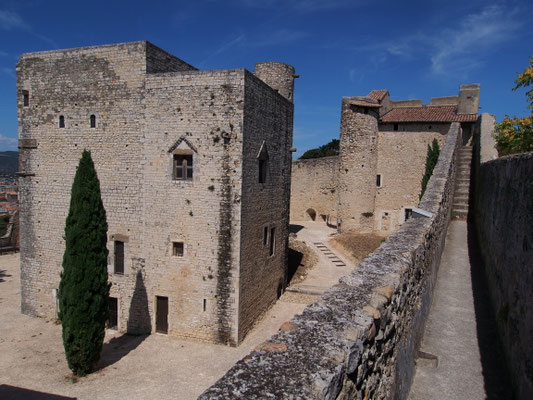 "Châteaux et tours en Drôme provençale"