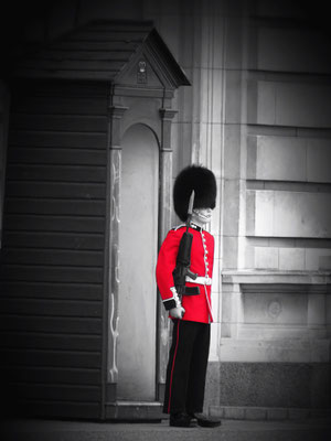 Queens Guard at the Buckingham Palace