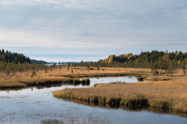 Typisch finnische Landschaft