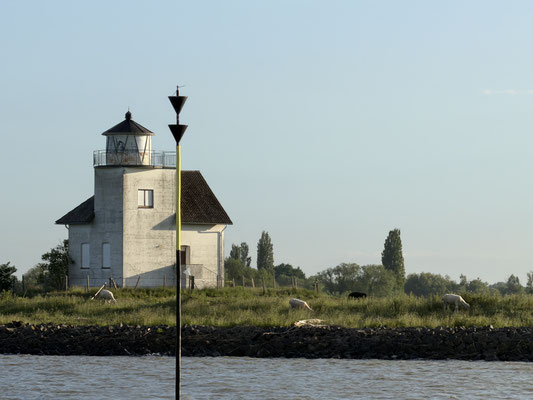 ... schon auf der Elbe im frühen Morgenlicht tolle Ansichten vom Wasser aufs Ufer ...