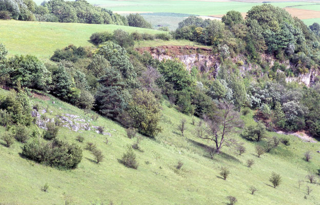 Kalktrockenrasen, Sauerland (Foto: U. Koch Geologischer Dienst NRW)