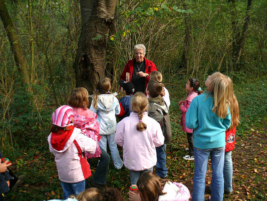 Kindergruppe im Wald (Foto: Achim Schumacher)