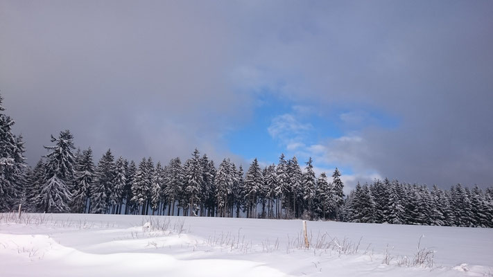 Rennsteig im Winter