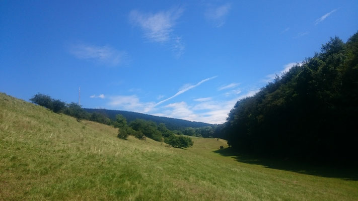 Trockental
