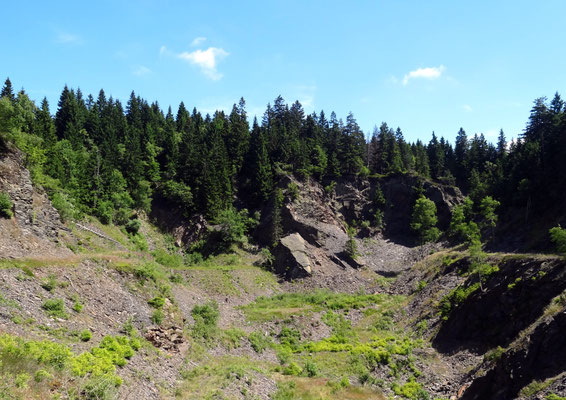 Griffelbruch