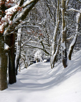 Verschneiter Aufstieg