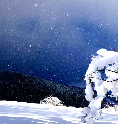 Schneefall