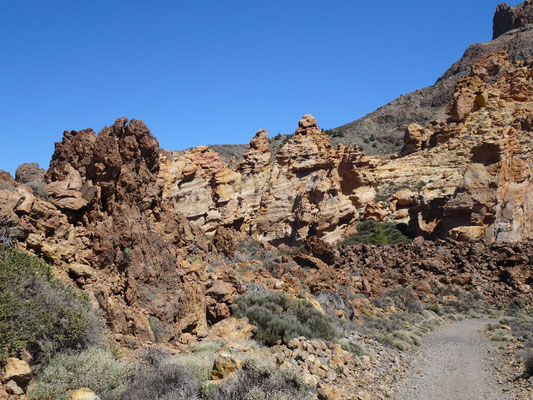 Canadas del Teide