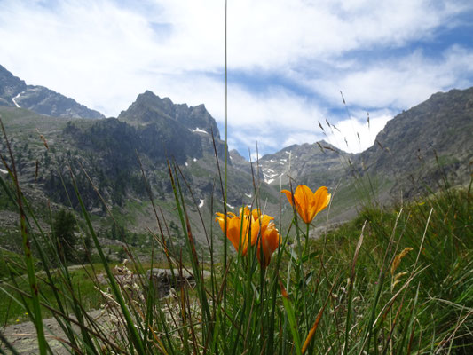 Im Hintergrund der Becco Alto d'Ischiator 2.996 m