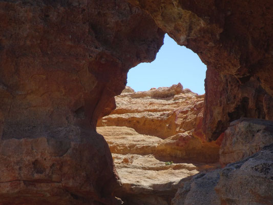 Canadas del Teide