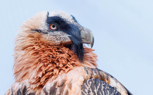 Bilderserie vom Tierpark Goldau (Schweiz)